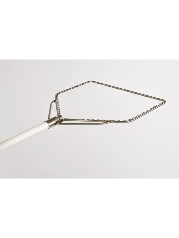 Kescherbügel aus Edelstahl mit Schutzstab, in D-Form, 70 cm breit