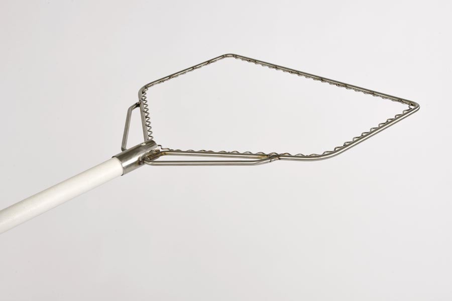 Kescherbügel aus Edelstahl mit Schutzstab, in D-Form, 70 cm breit
